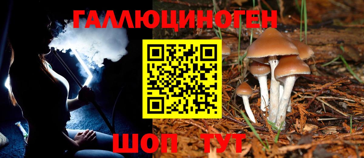 Галлюциногенные грибы Magic Shrooms  Вход с VPN  Вышний Волочёк 