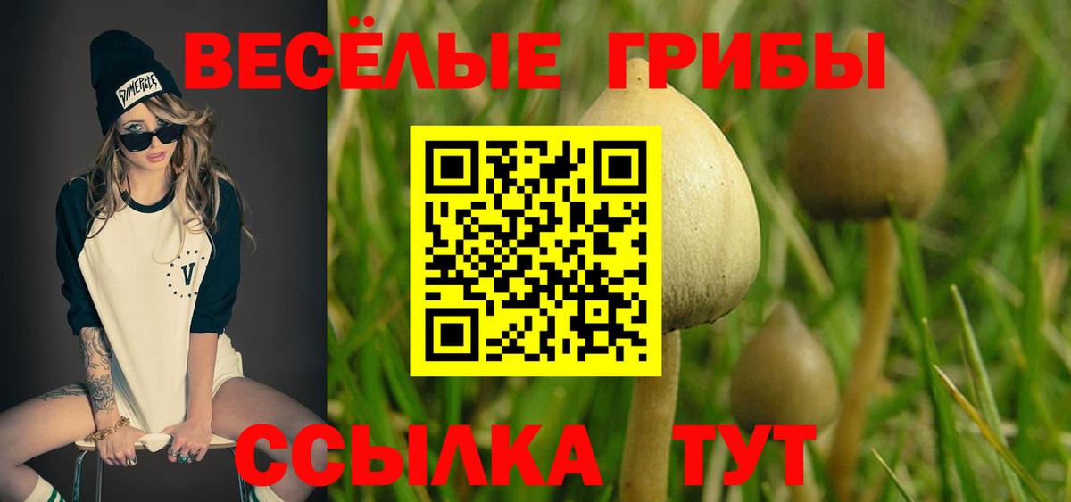 Галлюциногенные грибы GOLDEN TEACHER Вышний Волочёк